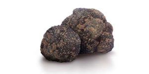 tartufo